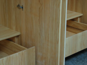 MODELO ALDER